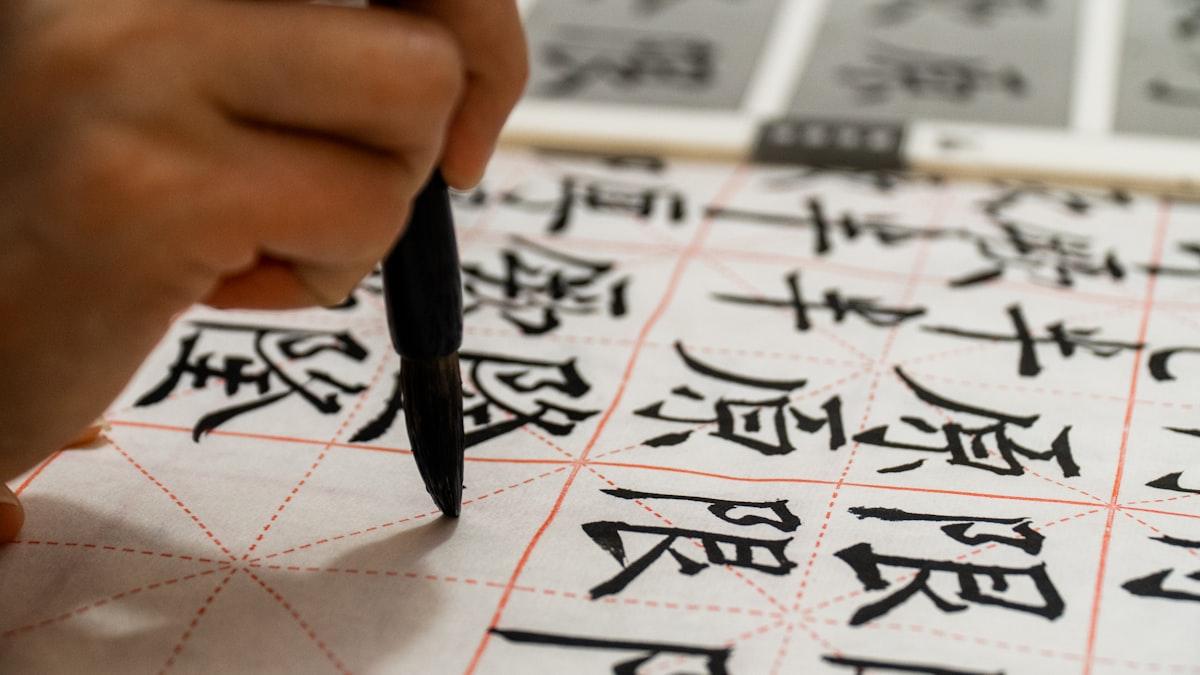 Multilingual Charting: Bridging Language Gaps in TCM Practice